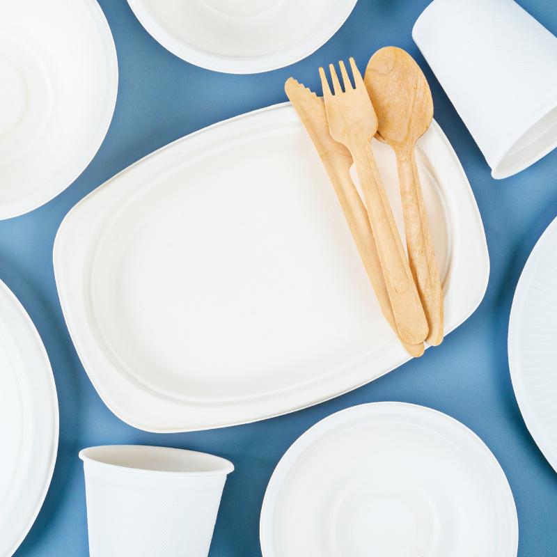 Bagasse