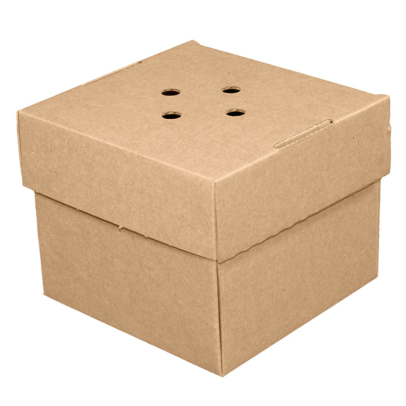 Premium Delivery Burger Box - Takeaway Box 122X122X102mm (100)